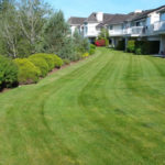 Lawn Mowing Services Fraser Valley Lower Mainland